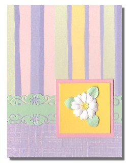 Springtime Daisy Card