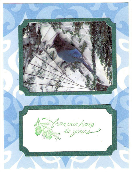 Blue Jay In the Snow - Reverse Iris Fold