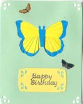 Blue and Yellow Butterfly